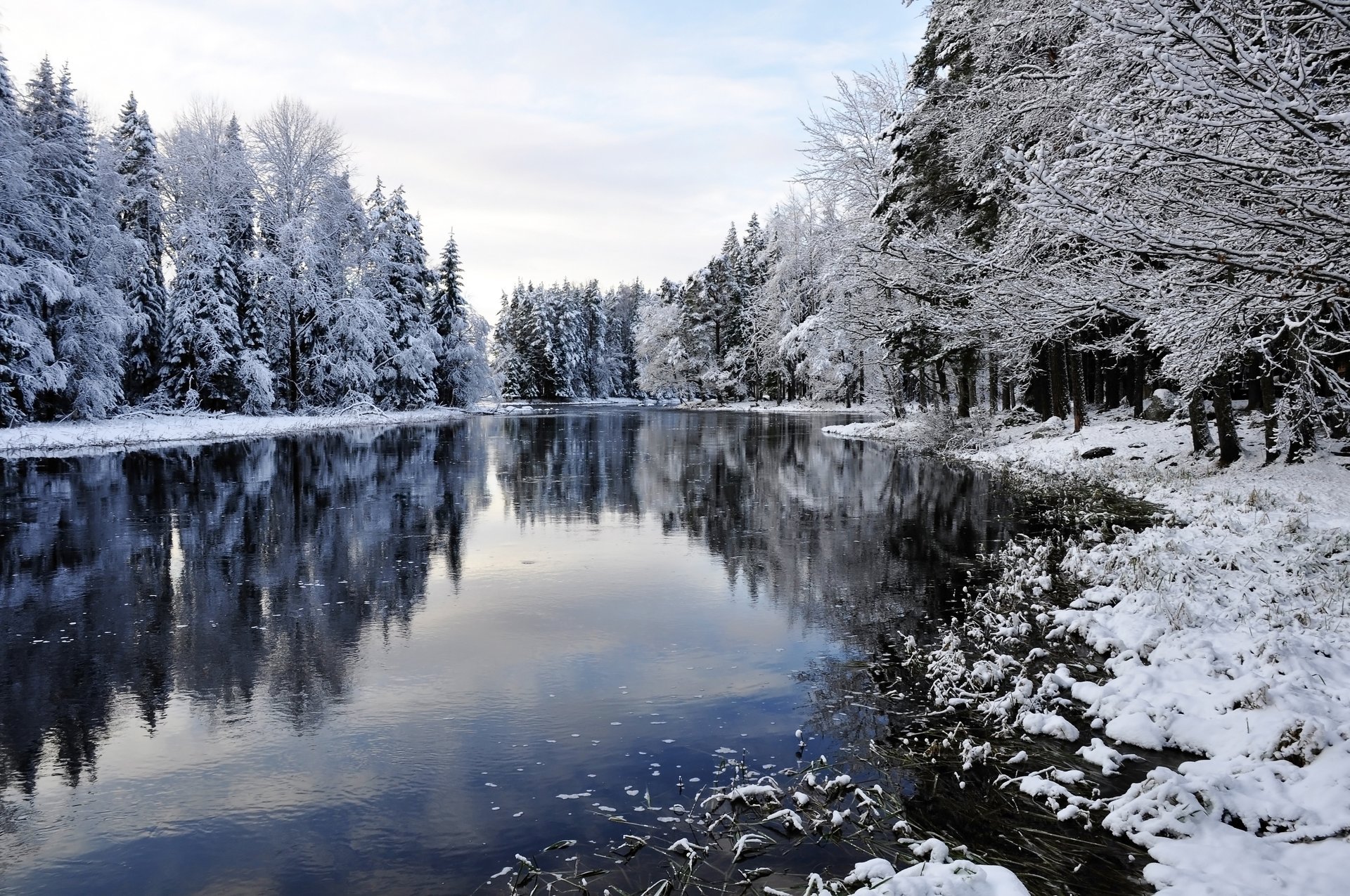 inverno paesaggio neve inverno fiume alberi