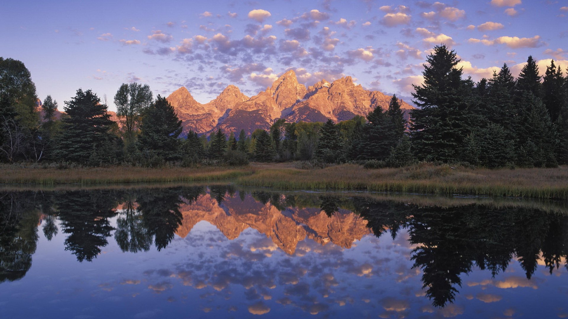 montagne lago alberi