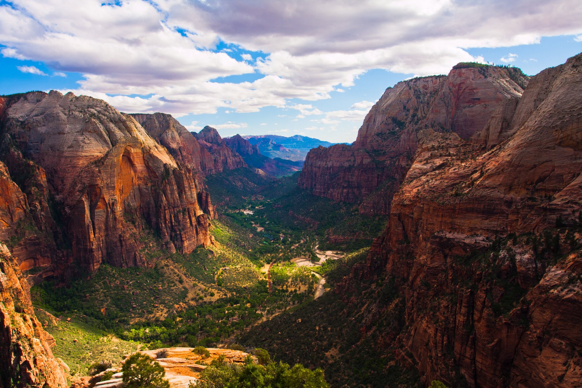 canyon tree clouds forest