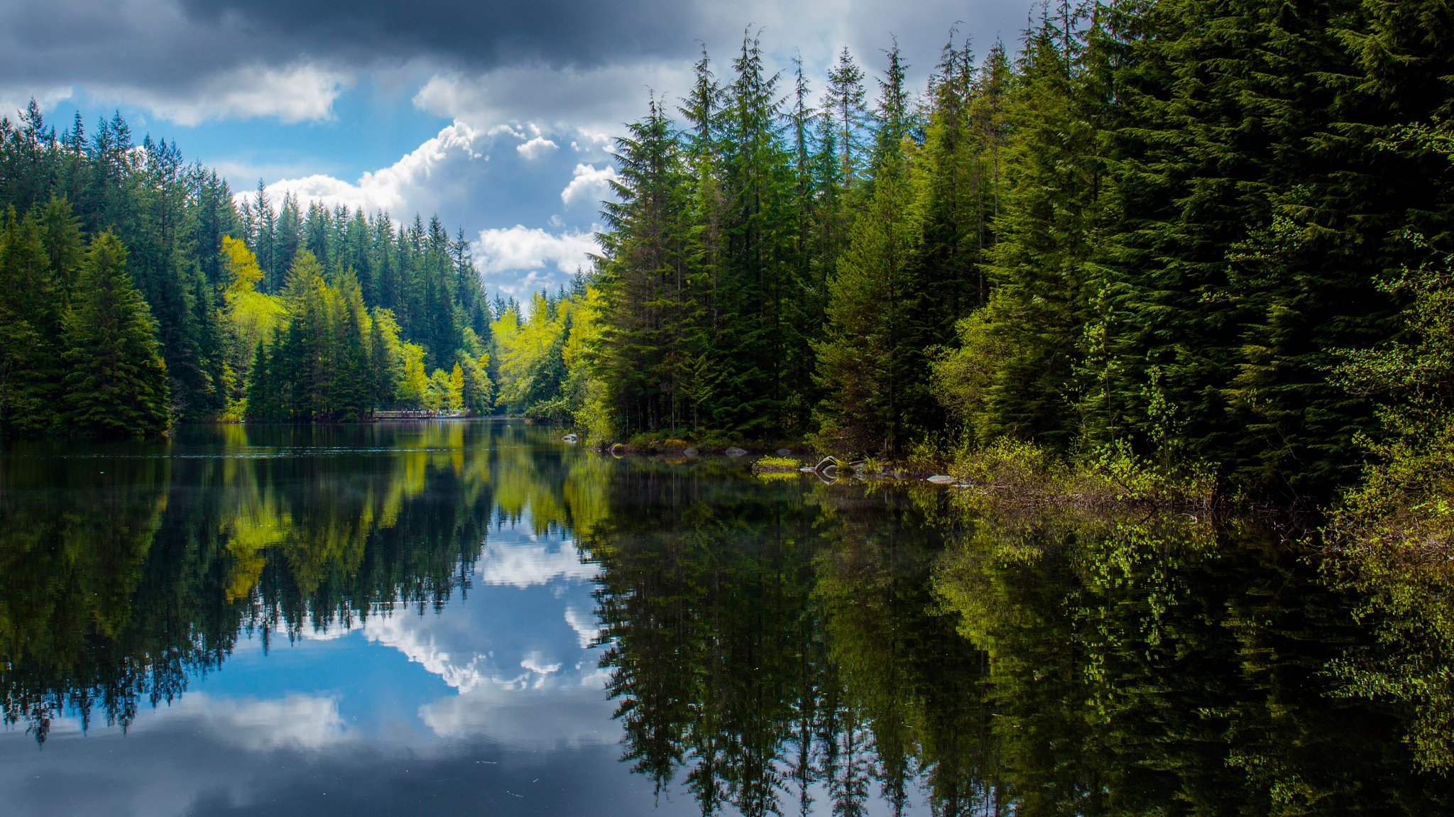 canadá columbia británica lago primavera bosque reflexiones