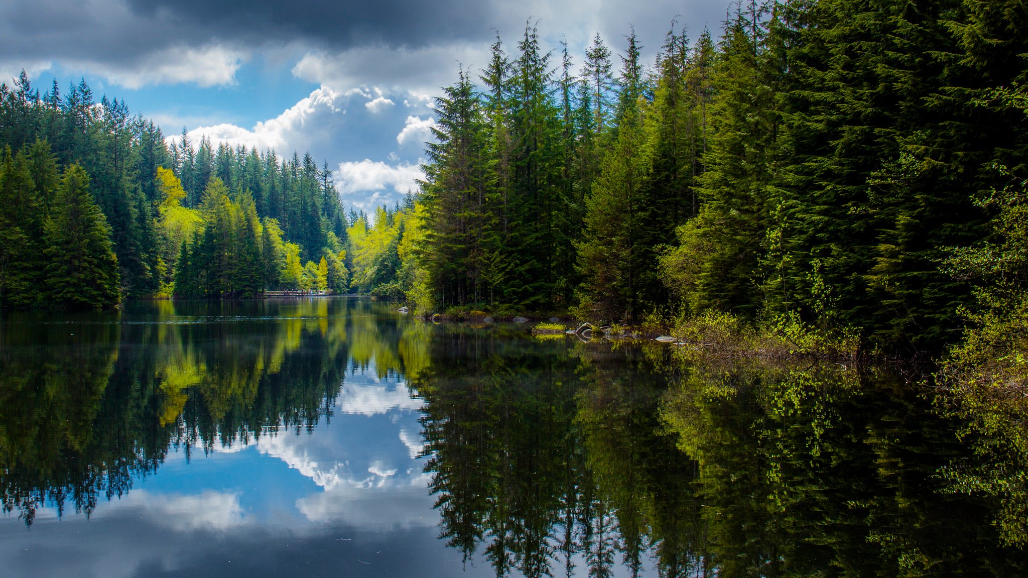 Лес и вода картинки для телефона