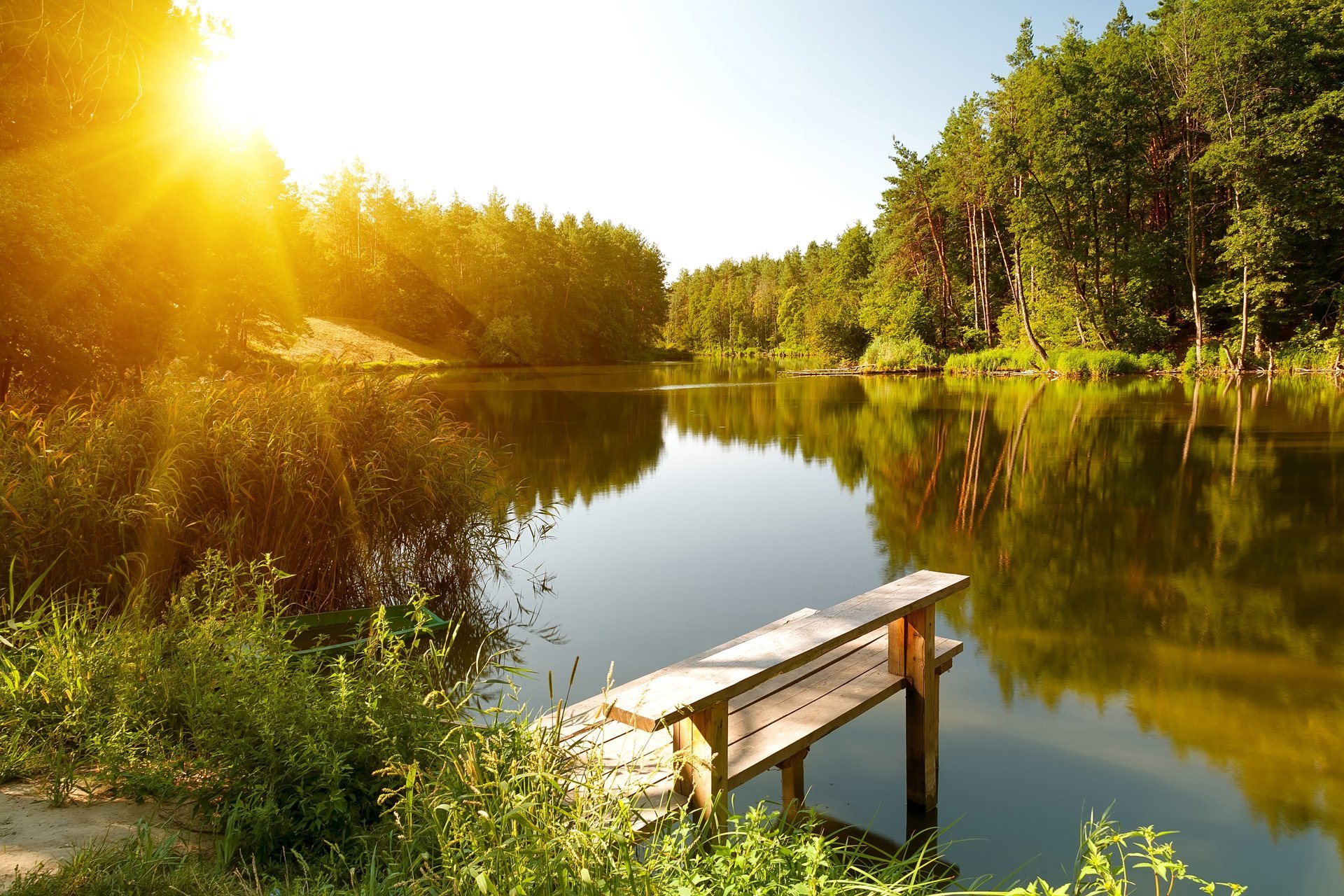 estate fiume foresta sole paesaggio