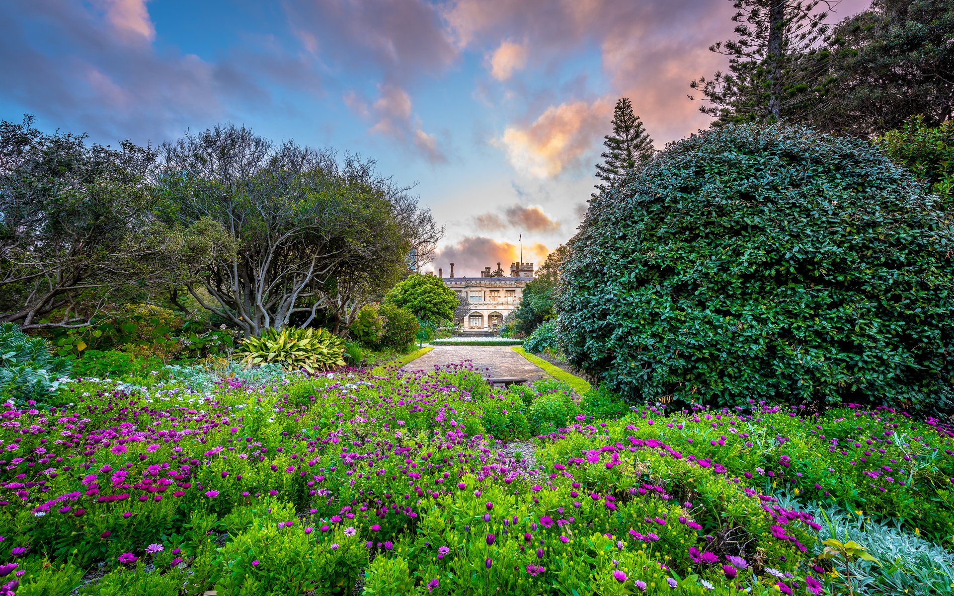 regierung haus sydney königlicher botanischer garten garten natur gebäude