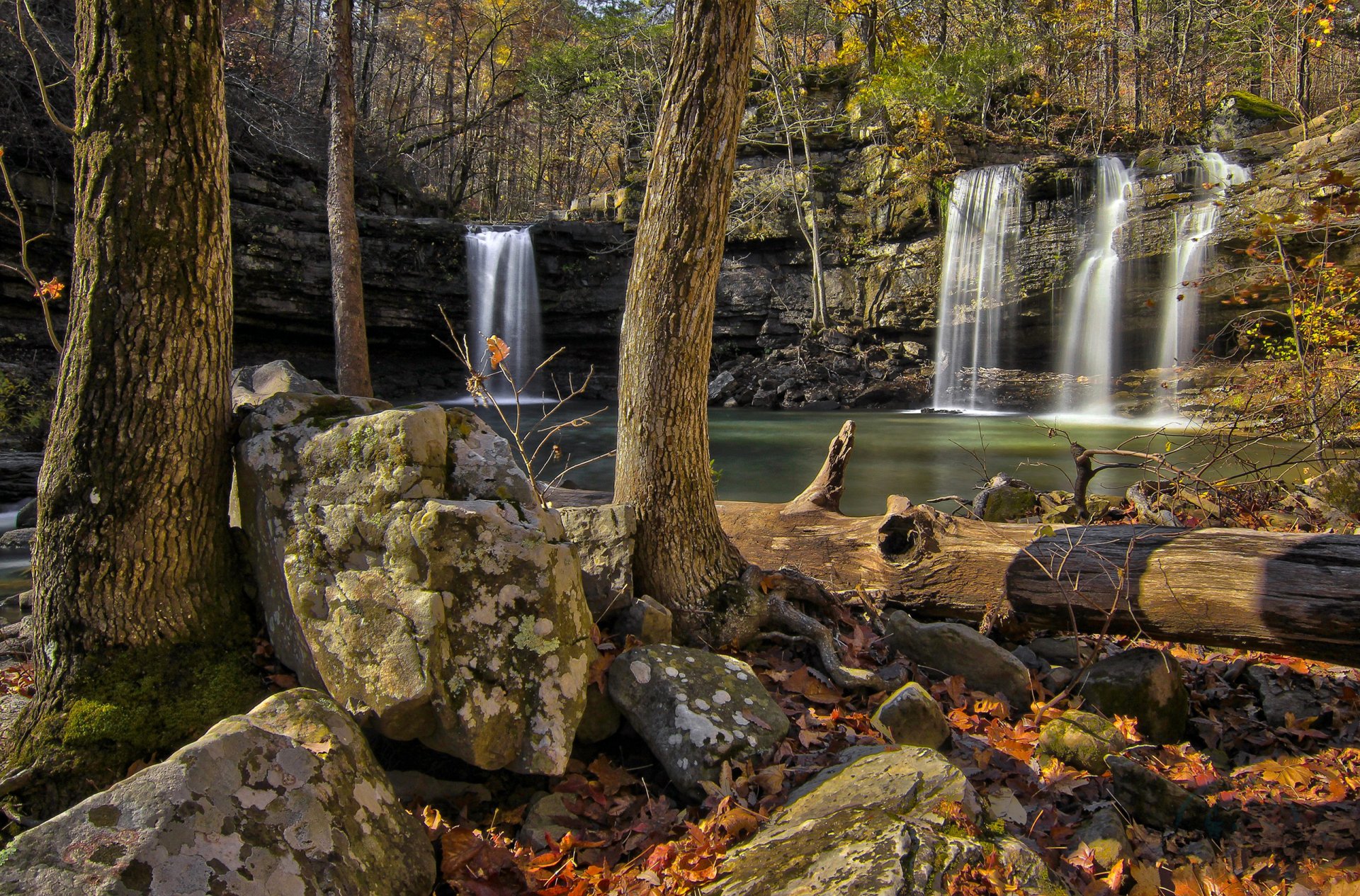 bosque árboles roca piedras cascada