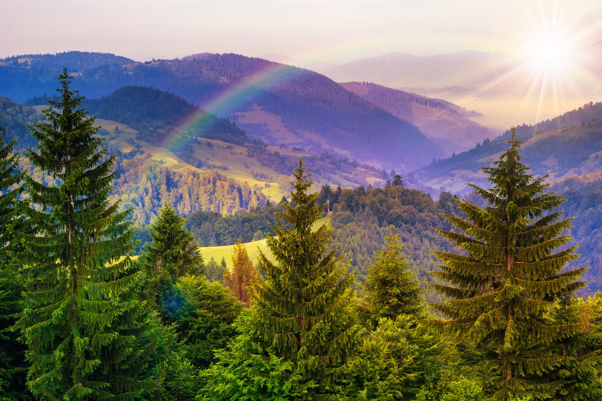 góry drzewa słońce tęcza natura