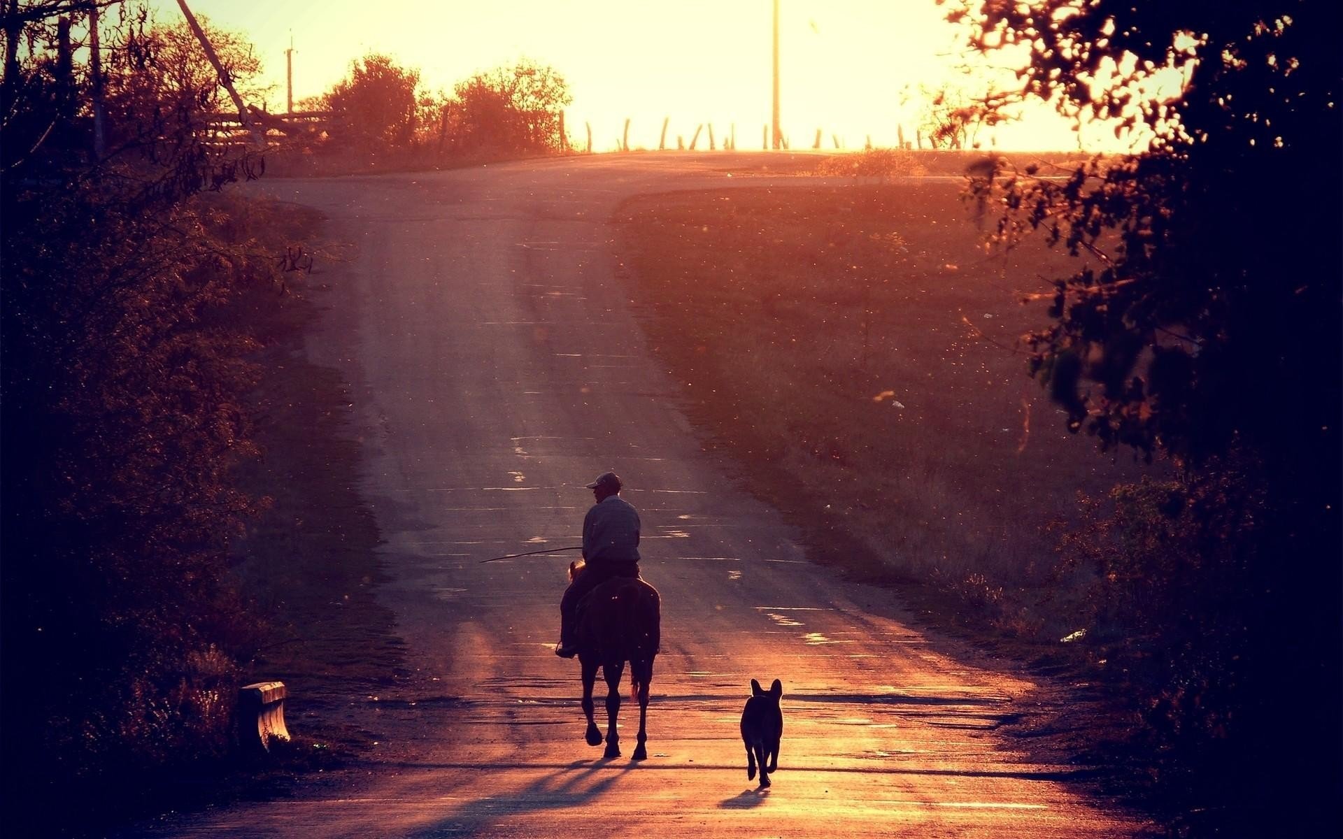 natura paesaggio strada sole cavaliere cane foto