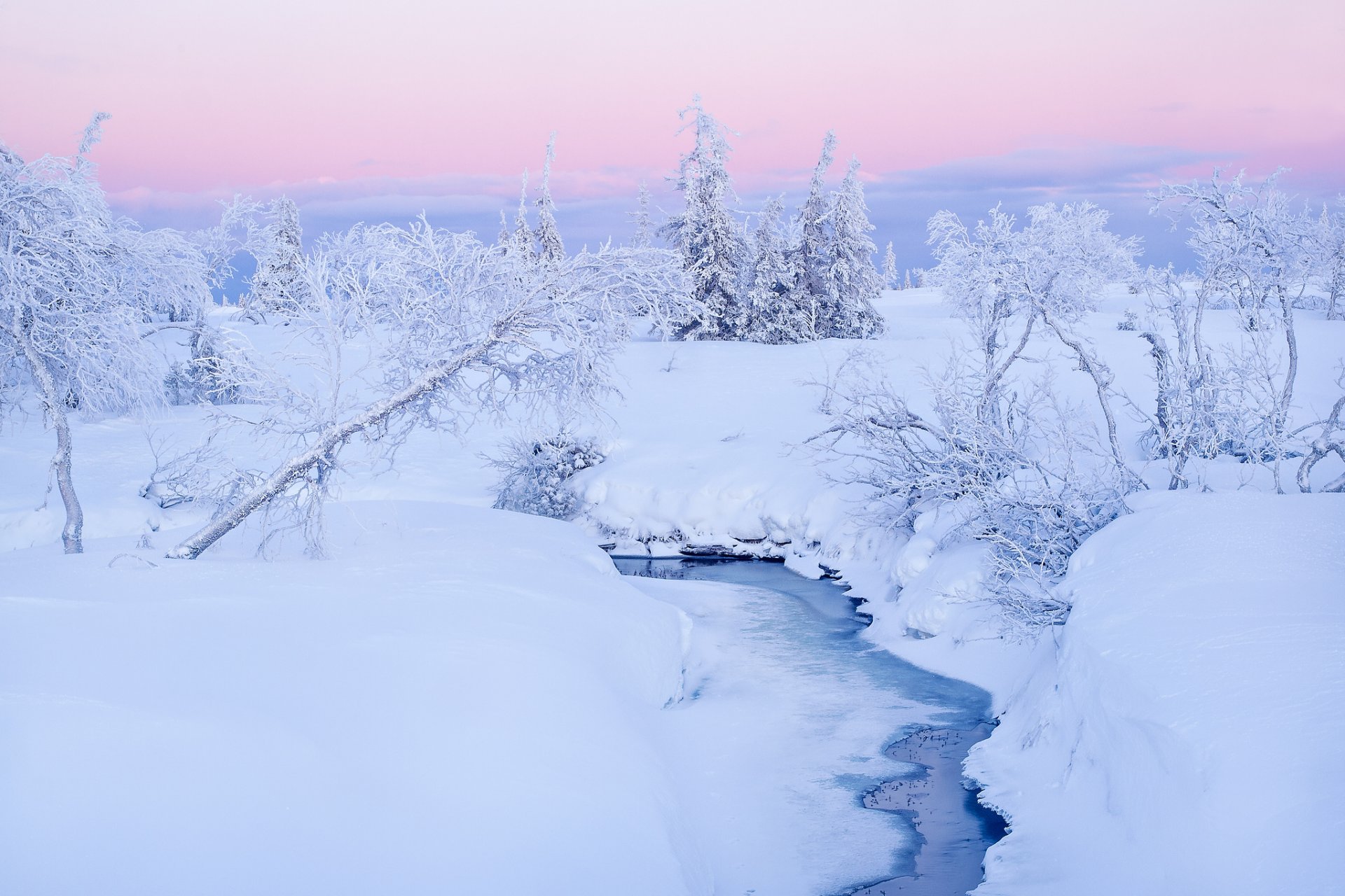 hiver ruisseau neige arbres