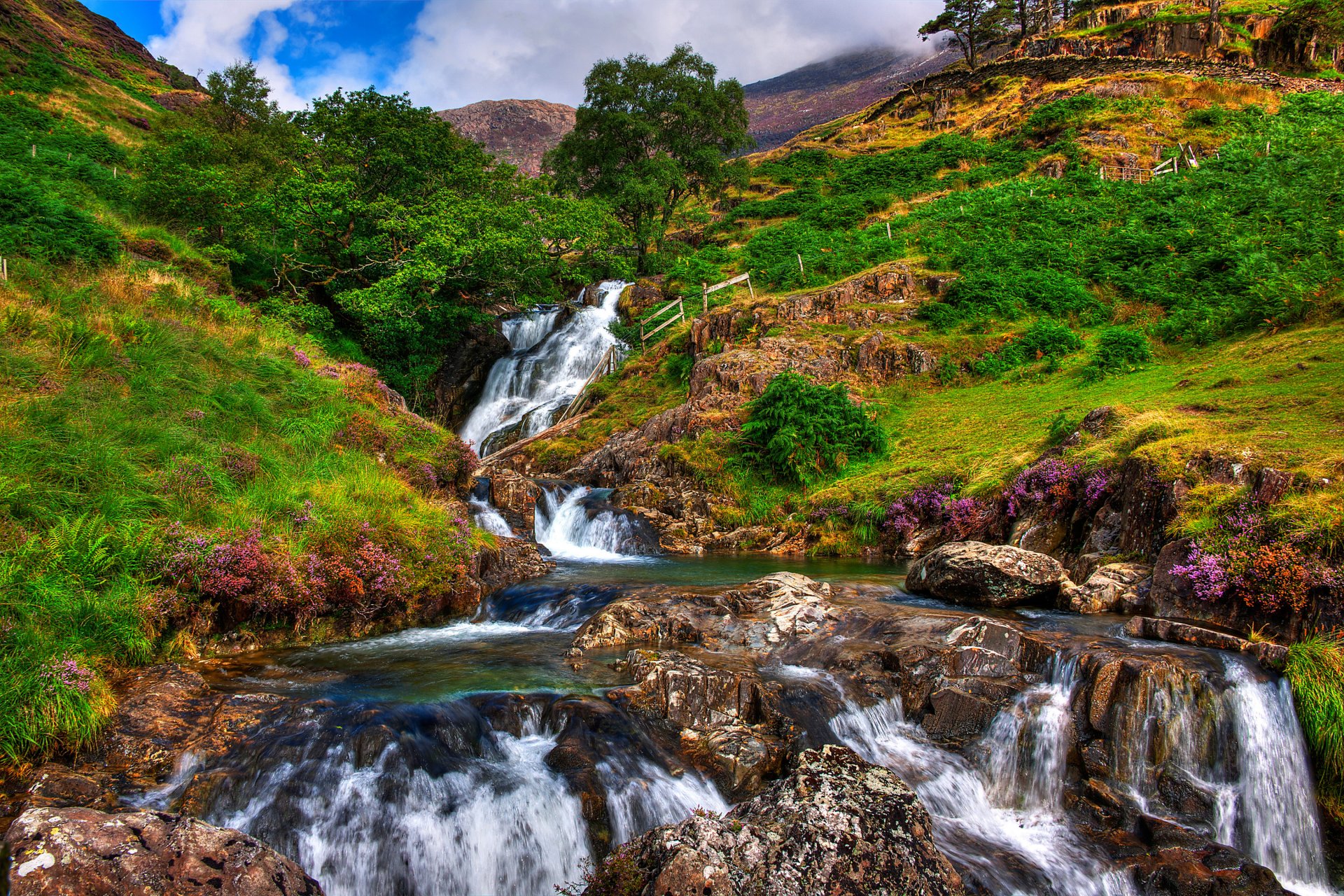 gb snowdonia himmel wolken steine fluss strom felsen bäume berge gras blumen landschaft