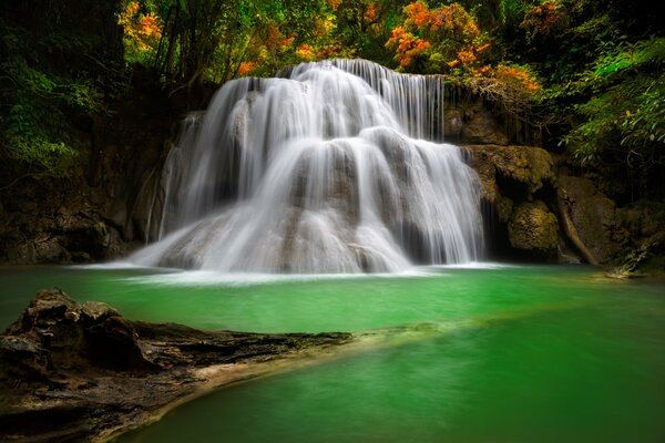 El bosque de otoño y la caída de la cascada en el lago