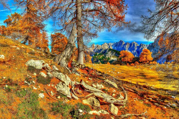 Blauer Himmel kombiniert mit orangefarbenen Herbstfarben