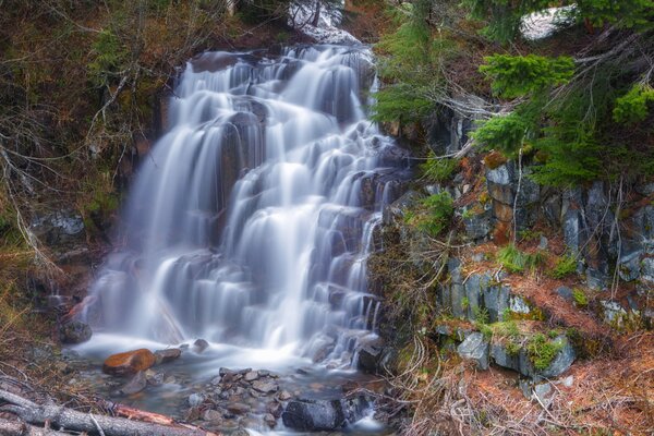 Waterfall in autumn in a coniferous area with stones