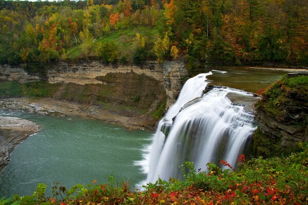 Wasserfall im Herbstwald und Blumen