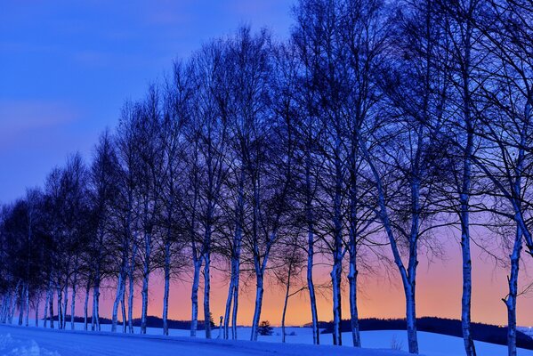 Verschneite Straße. Sonnenuntergang und Himmel