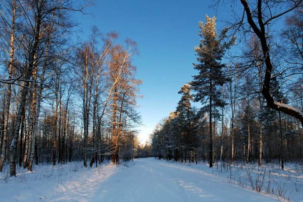 Russischer Winter. Frostige Luft