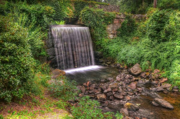 Bäume umgeben einen kleinen Wasserfall