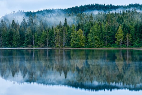 Die Spiegelfläche des Sees spiegelt den kanadischen Wald wider