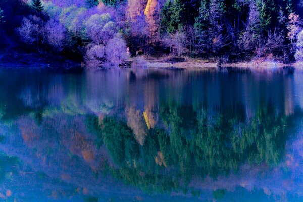 Forest slope by the lake in autumn