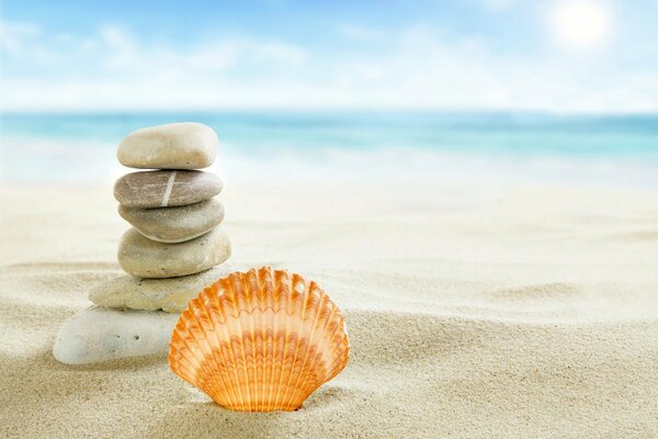 Paysage de plage de mer avec des coquillages et des pierres