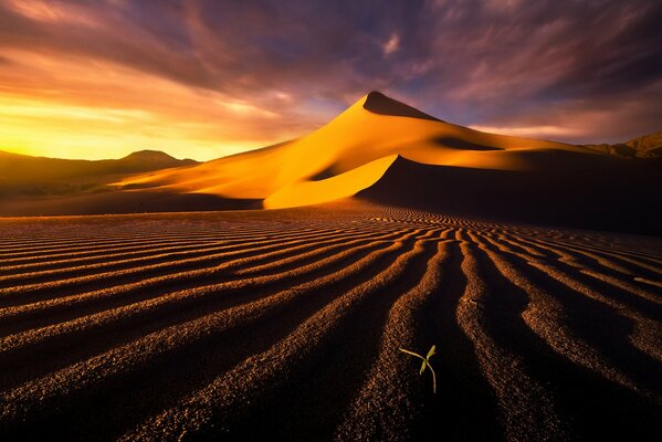 Sand dunes under clouds