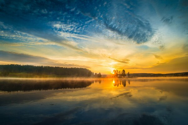 Jezioro i Las Parku Narodowego Yellowstone