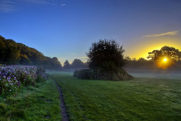 Nebliger Morgen auf dem Feld