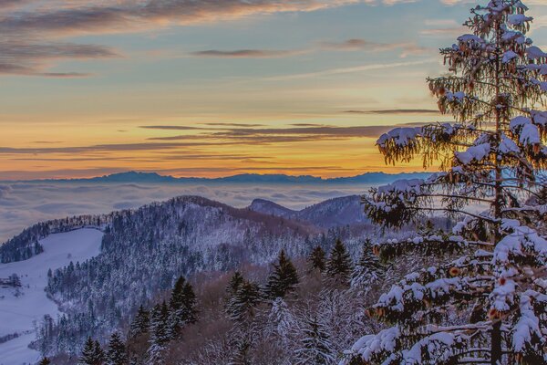 Foggy morning and snow-capped mountains