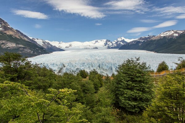 Glacier de la montagne s étend sur les arbres verts