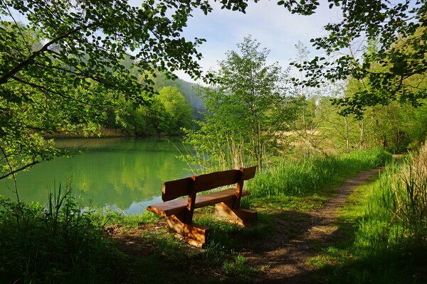 Negozio di boschi in un posto tranquillo sulle rive di un lago verde