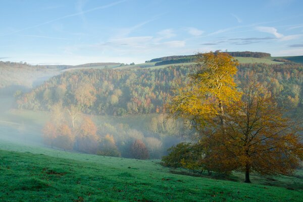 Autumn. the forest and the mountains are in a fog