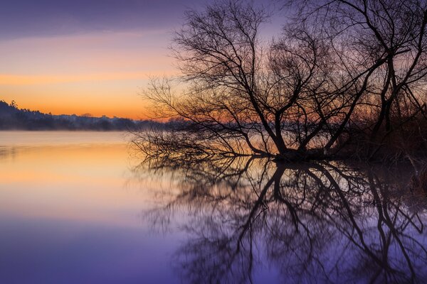 Morgendämmerung am Fluss mit Reflexion auf glatter Wasseroberfläche