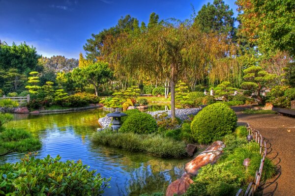 Manicured garden with paths, trees and shrubs, pond in California, USA