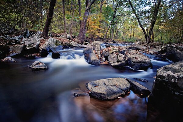 Landscape for screensaver for android phone