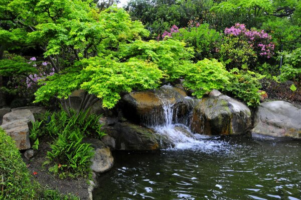 Japanischer Garten mit lila Büschen mit Wasserfall