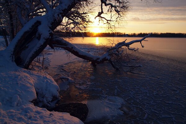 Coucher de soleil près de la rivière enneigée