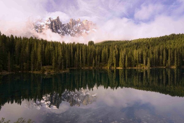 Coniferous forest at the foot of the mountain on the lake shore