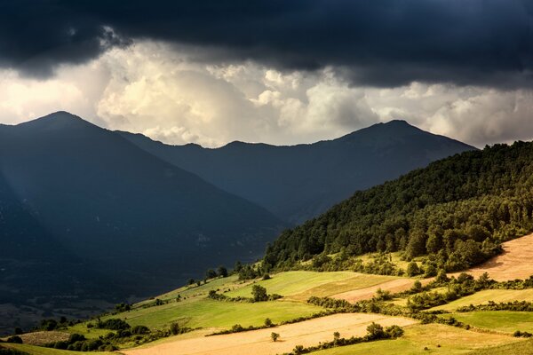 Ein Bergtal mit Wald und großen Wolken