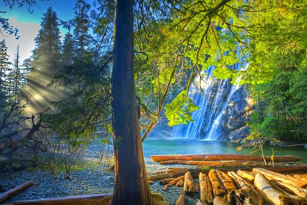 Journaux flottant sur la rivière avec une cascade sous les rayons du soleil