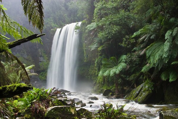 Rivière de montagne et cascade. Randonnée