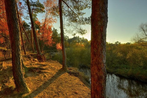 Puesta de sol de otoño en un acantilado en el bosque