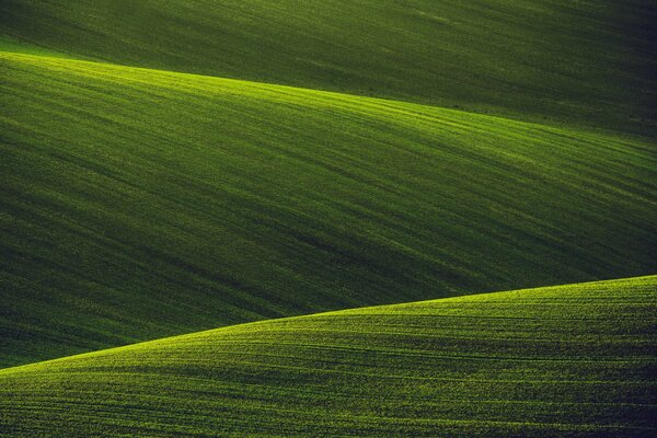 Campos verdes de naturaleza Virgen