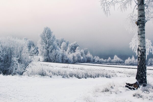 Ein Bild einer Winterlandschaft mit einer Eisenbahn