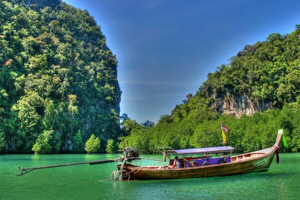 Barca tra gli alberi in Thailandia