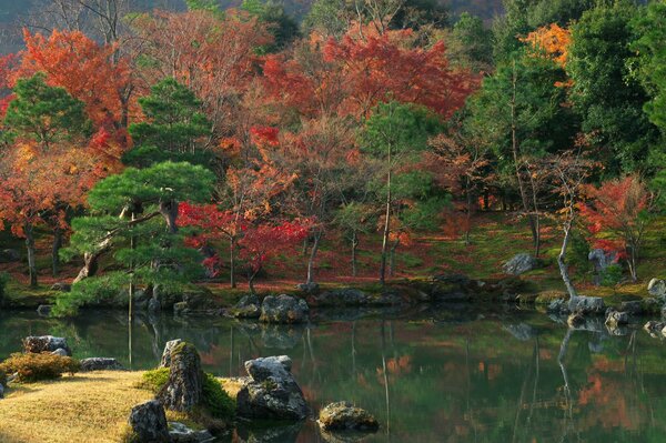 Bright colors of the autumn forest