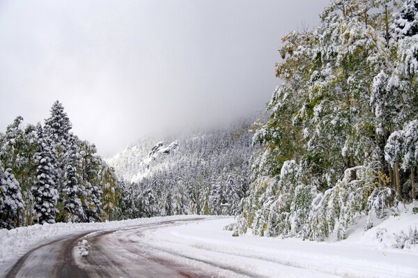 Winter road through the forest against a gray sky