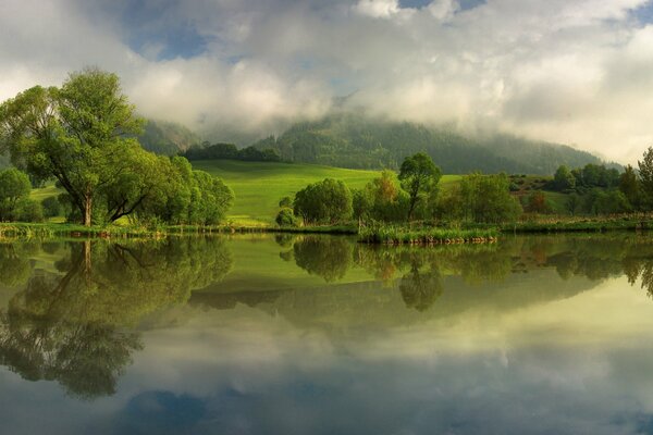 Reflexion des Himmels und der Bäume im Fluss