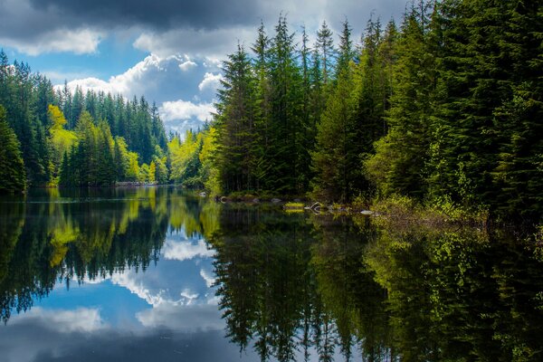Lago de primavera con reflejo de bosque