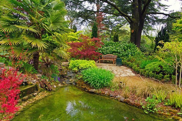 Benches for relaxing near the pond