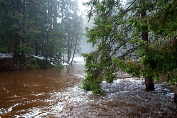 Spring and the river means flood