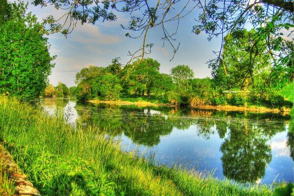 Nella superficie di un fiume calmo, gli alberi e il cielo si riflettono