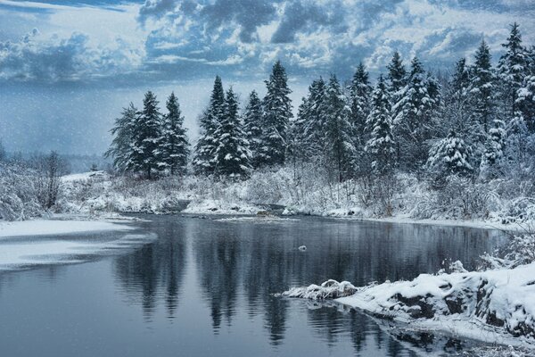 Beautiful snow-covered forest and lake